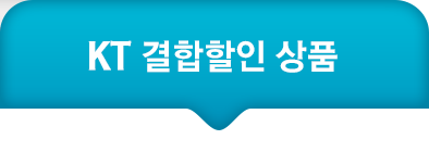 인터넷tv-KT